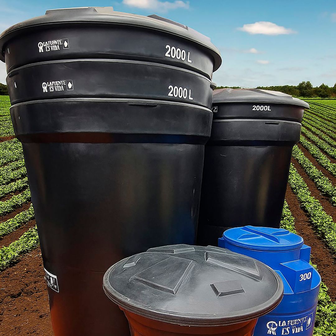 Diseño sin título (16)